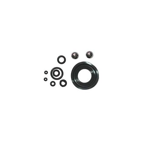 Ribimex – Kit de joints pour pulvérisateur à dos – Compatible avec 12 à 20 litres – Conçu pour produits agressifs – Maintien de l'étanchéité (1/2)