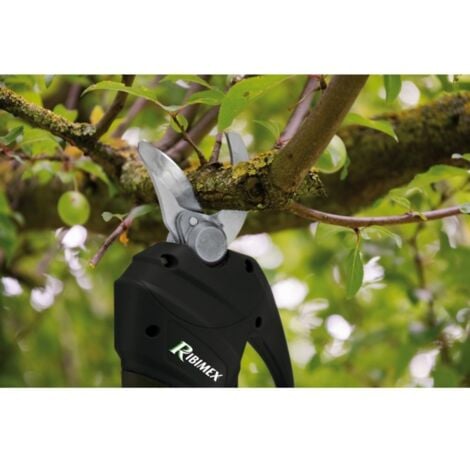 Sécateur R-BAT20 à batterie, avec batterie 20V 2Amp et chargeur