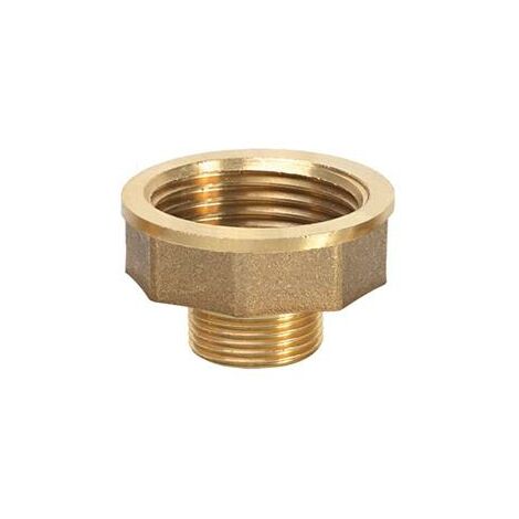 Ribiland – Raccord réducteur en laiton 1' Femelle à 1/2' Mâle – Pour systèmes d'arrosage – Transition fluide entre tuyaux – Raccord réparateur (1/5)