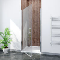 ELEGANT 900mm Frameless Pivot Shower Door Glass Screen Reversible Shower Enclosure