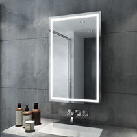 ELEGANT Bathroom LED Mirror Cabinet Sliding Door 430x690mm Mirror Cabinet with Light Stainless Steel Frame Wall Mounted Storage