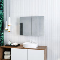 ELEGANT 600 x 800 mm Stainless Steel Bathroom Mirror Cabinet Wall Mounted 2 Door with Adjustable Shelves