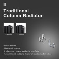 ELEGANT Traditional Radiator Anthracite Double Horizontal Cast Iron Grey Radiator - Perfect for Kithcen. Living Room. Bathroom Radiators 2 Column 600 x 605 mm + Thermostatic Radiator Valves