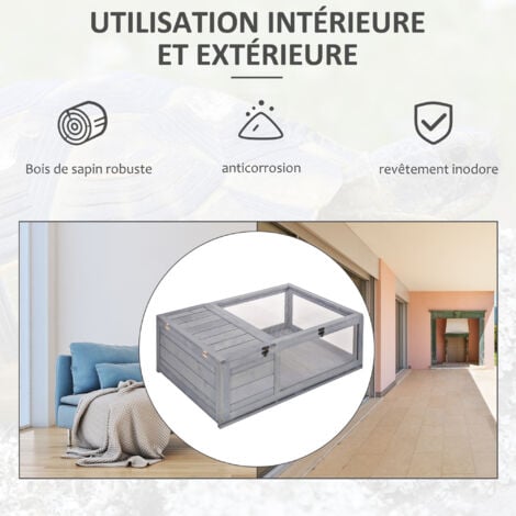 Carapace De Tortue Caouanne De Près | Photo Premium