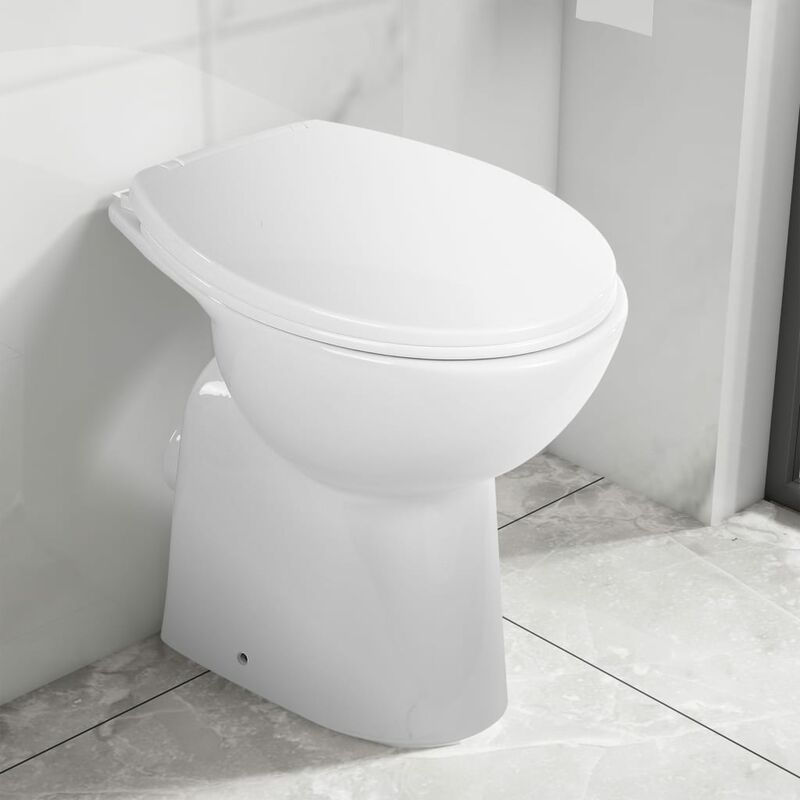 Sanitario Bagno WC Ovale Sospeso Rimless Completo di Coprivaso, Telaio Alto  con Cassetta ad Incasso con