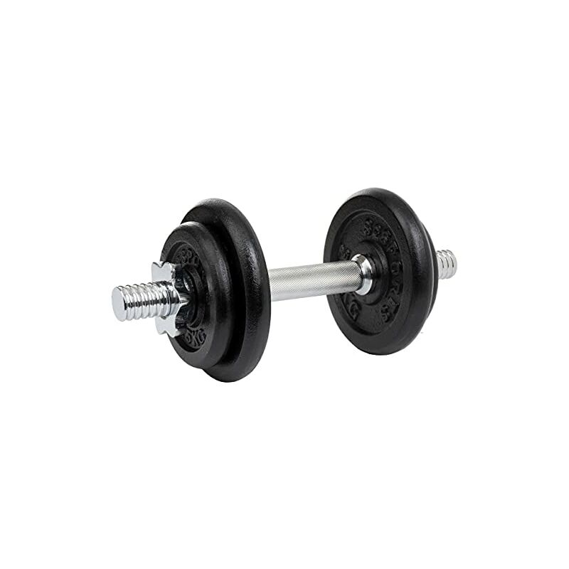 Manubrio - 3 in 1 Set da 10 kg in Ghisa Regolabile 2x125 2x25kg Ø 30/31mm  Cromato - Coppia di Dumbbells Barra Corta Bilanciere con Dischi Pesi da  Palestra Allenamento a Casa