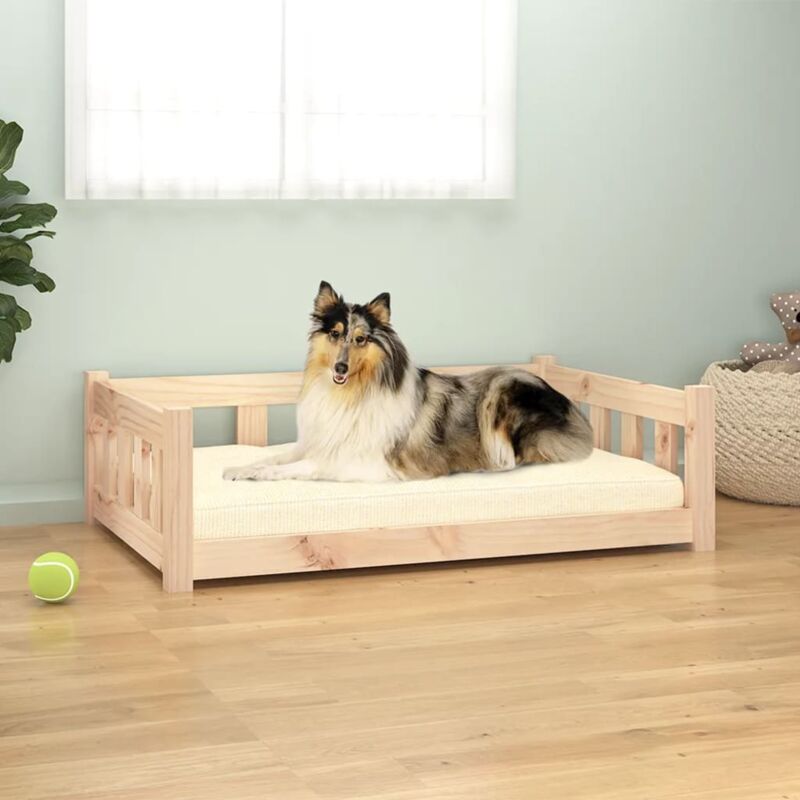 EASYCOMFORT Cuccia per Cani Rialzata con Cuscino Removibile e