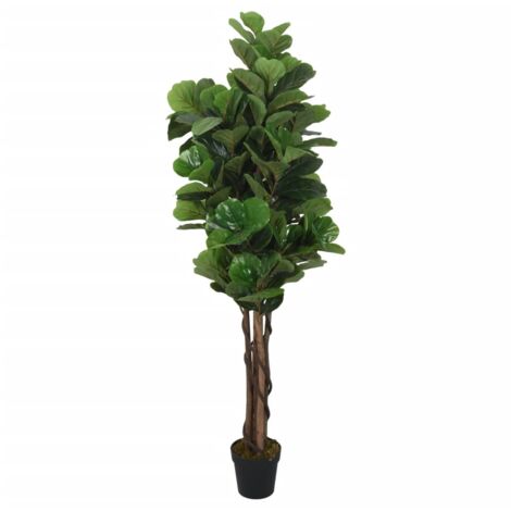 vidaXL Albero Ficus Lyrata 232 Foglie 180 cm Verde