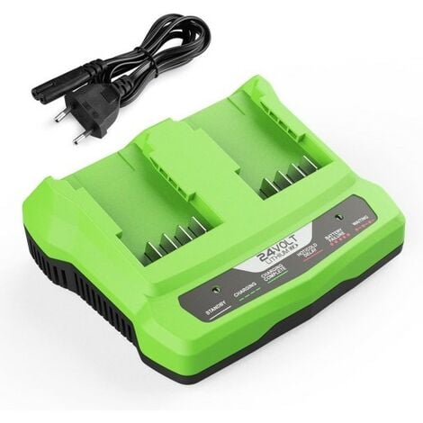 Chargeur De Batterie 24 V Pour Greenworks Tools 24 V Compatible Avec ...