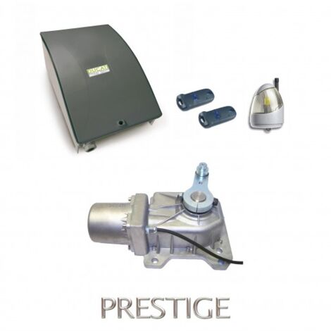 Kit Motorisation Portail Automatisme Ducati Home Automation GEO 548 MONO - Pour portail battant 1 vantail jusqu'à 2,5m max 500 kg (1/5)
