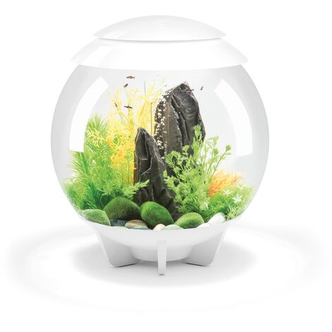 Aquarium décoratif 30L blanc – Kit complet 30L – Acrylique résistant – Éclairage LED multicolore – Télécommande incluse – Oase