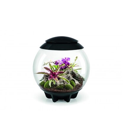 Terrarium décoratif 60l avec cadre noir - Oase - AIR 60 BLACK (1/2)