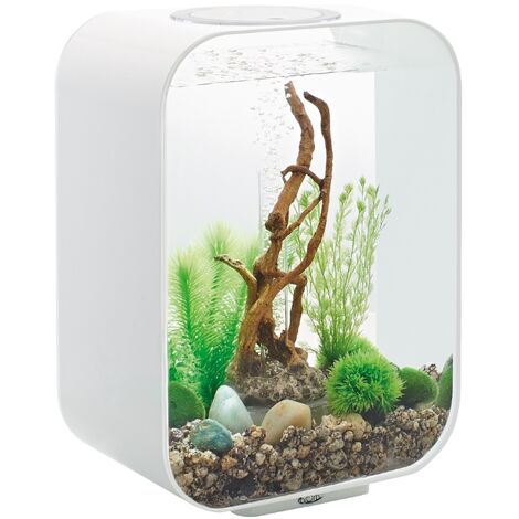 Aquarium 15l led contours blanc - Oase - LIFE 15 LED WHITE (1/3)