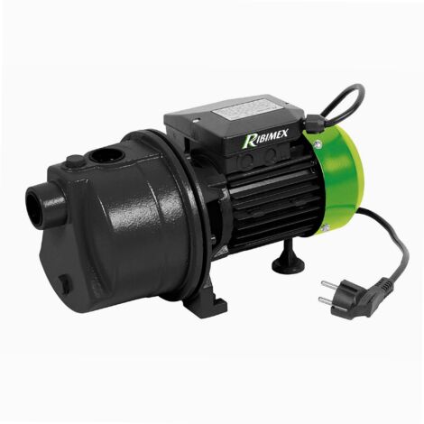 Ribimex – Pompe de surface auto-amorçante 600W – Débit 40 L/min – Hauteur d'aspiration 7 m – Corps en fonte d'aluminium durable - prjet61