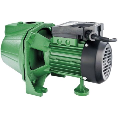 Ribiland – Pompe de surface auto-amorçante 970 W – Corps fonte – Débit 2700 L/h – Hauteur refoulement 43 m – Protection thermique intégrée - PRJET101 (1/5)