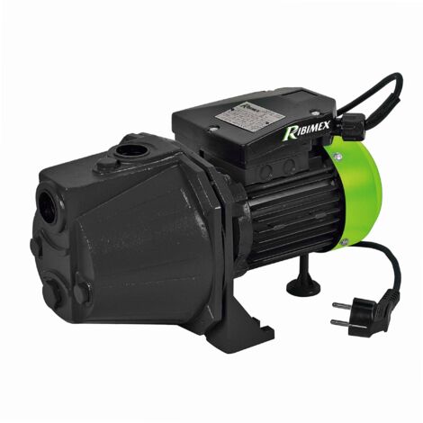 Ribiland – Pompe à eau de surface auto-amorçante 1180 W – Débit max 3300 l/h – Hauteur d'aspiration 7 m – Corps fonte durable - PRJET121 (1/5)