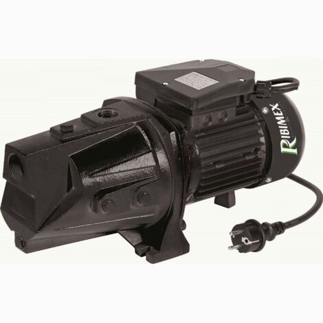 Ribiland - Pompe de surface 1800W à corps long - PRJET150L