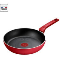 Poêle aluminium 24cm - Tefal - C2890402