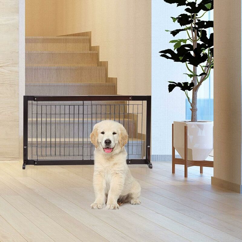 Auto-Close|90° Stop| 135-145 cm Cancello per Animali Domestici |!Passaggio Extra Largo ! Senza Perforazione ib style® Cancelletto di Sicurezza Disponibile Fino a 275 cm Auto-Close|90° Stop| 135-145 cm Cancello per Animali Domestici |!Passaggio Extra Largo ! Senza Perforazione ib style® Cancelletto di Sicurezza Disponibile Fino a 275 cm