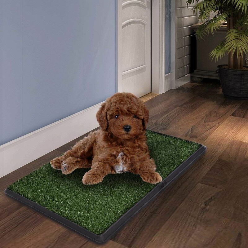 Lettiera per cani WC con erba Tappetino toilette 60x80cm Verde