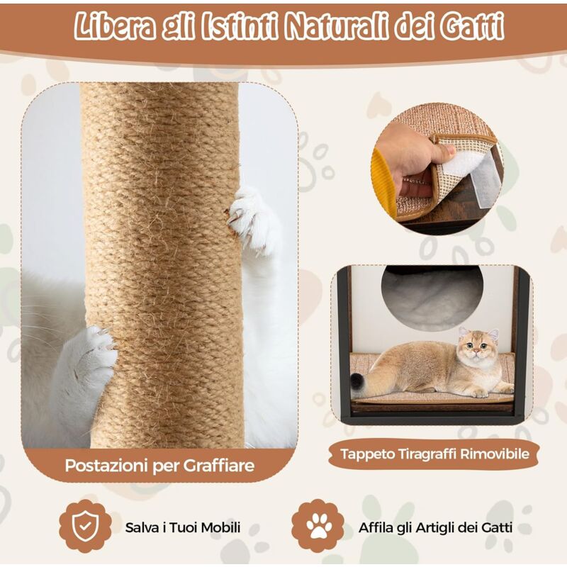 Cuccia Per Gatti BRIAN & DANY Con Tiragraffi - Casetta Pieghevole 40x40x32cm, Grigia, Con Cuscino E Pallina - Foto 13