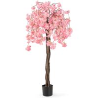 Albero di ciliegio - Frutti Minori - Albero di ciliegio