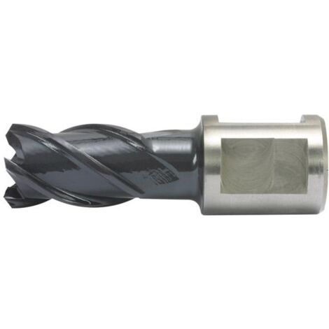 Kernbohrer HSS-Co RQX-beschichtet Schnitttiefe 50 mm ALFRA 48 mm (1/5)