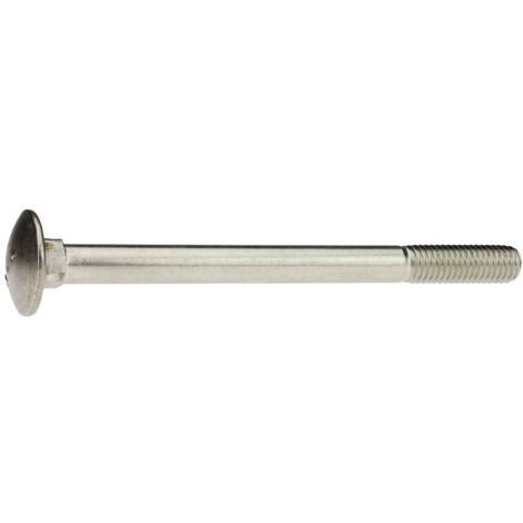 Flachrundschrauben Din 603 Reidl - 8x120mm A4 Blank 10 Stück Mit