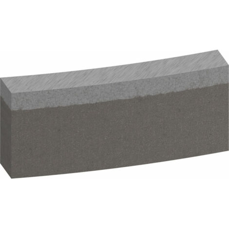 Bosch Segmente für Diamantbohrkrone Standard for Concrete 200 mm 12 10 mm 12 Stk