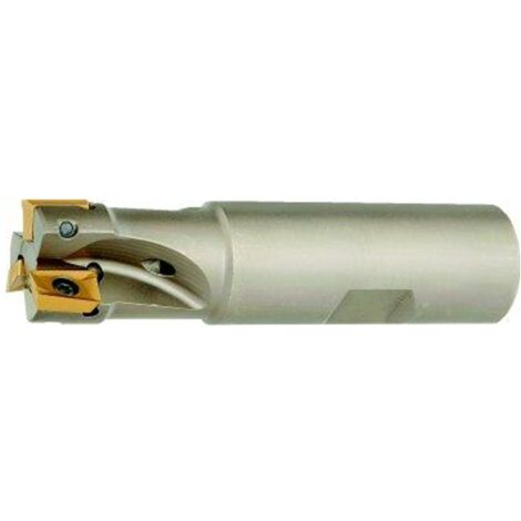 Fortis Eckfräser 90G D18mm, Z2, IK für AP.1003 (1/3)