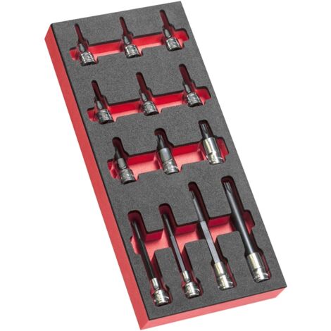 FACOM Schaumstoffmodul 13x Torx Stecks. 1/2 (1/2)