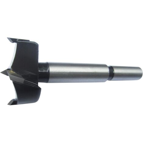 Kunstbohrer HW 30mm FORTIS (1/2)
