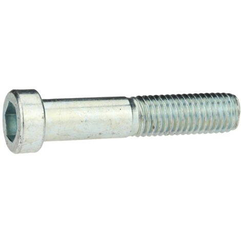 Reidl DIN 6912 Zylinderschraube 24x100mm Stahl 8.8 verzinkt niedriger Kopf Innensechskant (1/4)