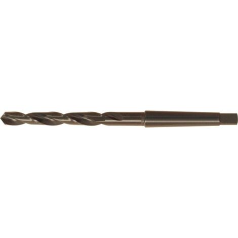 Fortis Spiralbohrer DIN345 HSS rollgewalzt Typ N Schaft MK 20mm (1/5)