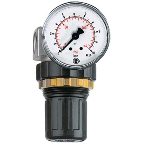 Riegler Druckregler »Standard-mini«, Schalttafelmutter, G 1/8, 0,2-6 bar (1/4)