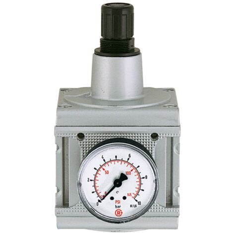 Riegler Druckregler »multifix«, inkl. Manometer, BG 5, G 1, 0,1 - 3 bar (1/4)