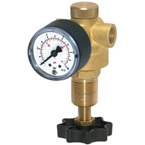 Riegler Druckregler für Wasser, inkl. Manometer, G 1/4, 0,5 - 10 bar (1/4)