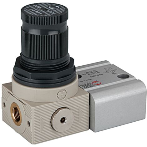 Riegler Reglereinheit (Regler+Adapter+Befestigungsteile) für Booster G1/8 (1/2)