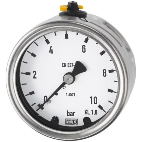 Riegler Manometer, CrNi-Stahl, G 1/2 hinten exzentr., 0 - 6,0 bar, Ø 100 (1/2)