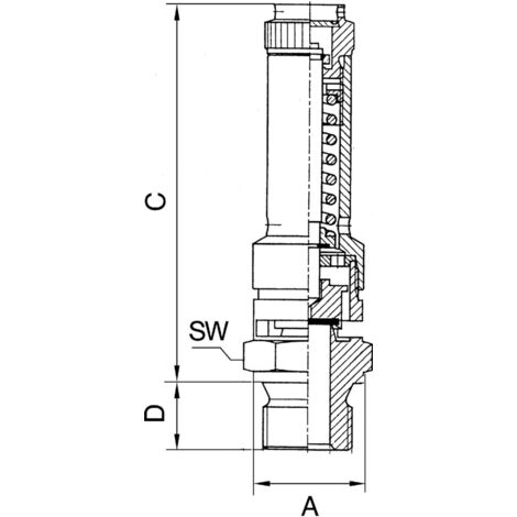 Valvola Di Sicurezza Riegler DN8 In Ottone, G 1/4, Pressione 22 Bar, Per Aria Compressa Fino A 180°C, Omologata TÜV