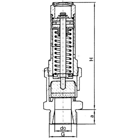 RIEGLER Sicherheitsventil 10 Bar – Messing, G 1/2, –40 °C Bis 200 °C, TÜV-geprüft