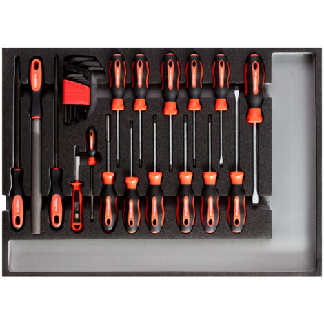 Gedore red R22350002 Schraubendreher-Satz, Modul 26-tlg. (1/5)