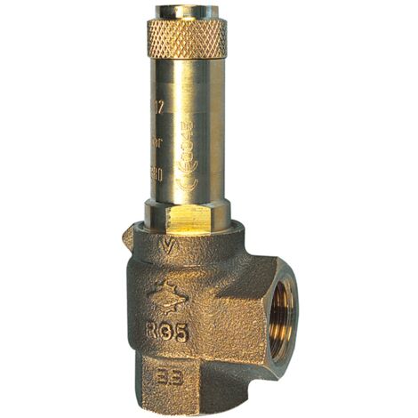 RIEGLER Sicherheitsventil DN 8 Messing - Ansprechdruck 0,3 Bar G 1/2 Für Druckluft