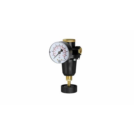 Riegler Konstant-Druckregler inkl. Manometer, BG 1, G 1/4, 0,5 - 16 bar (1/5)