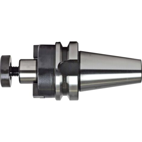 Fortis Aufsteckfräserdorn JISB6339AD A100 BT50-32 mm (1/5)