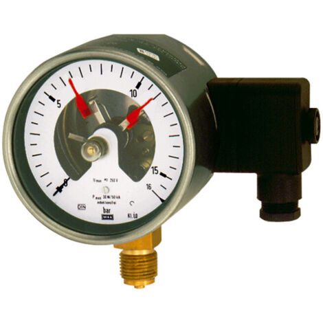 Riegler Kontaktmanometer, G 1/2 radial unten, Messber. 0 - 6,0 bar, Ø 100, Typ PGS21 (1/2)