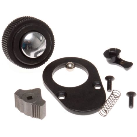 Projahn Reparatur Set zu 1/4 Umschaltknarre, mit Feinverzahnung (72-Zähne) (1/2)