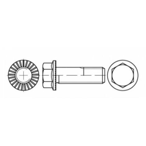Sechskant-Flanschschrauben M 10 x 50 Klasse 100 blank, mit Sperr-Rippen (1/2)