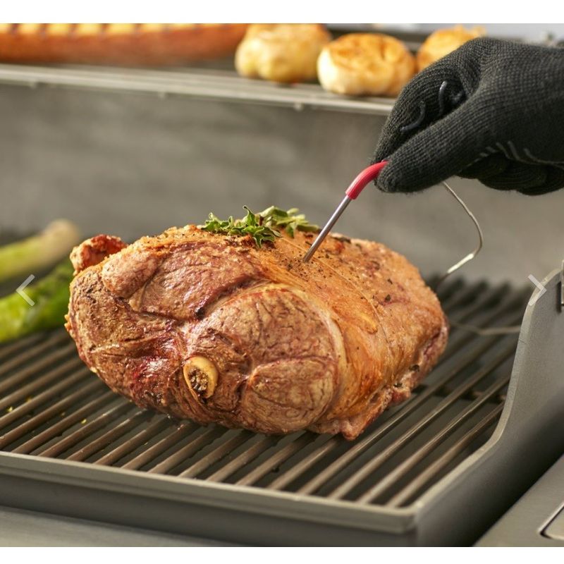 ILSA Termometro carne con Sonda Inox 18/10 cm 10 D. cm 5