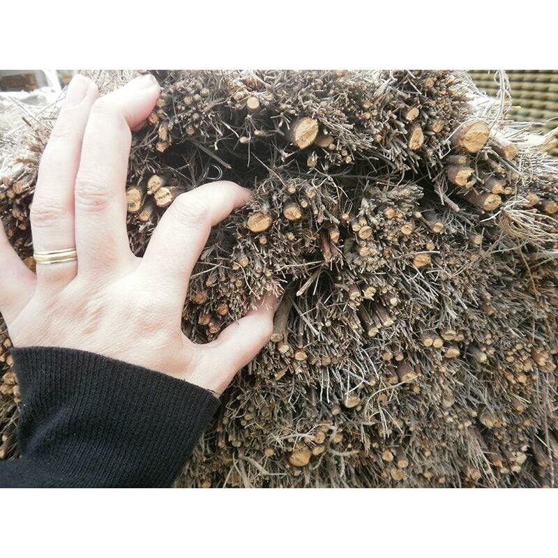 Brezo natural de Fitor Ocultación : Rollo de brezo natural extragrueso  200x300cm